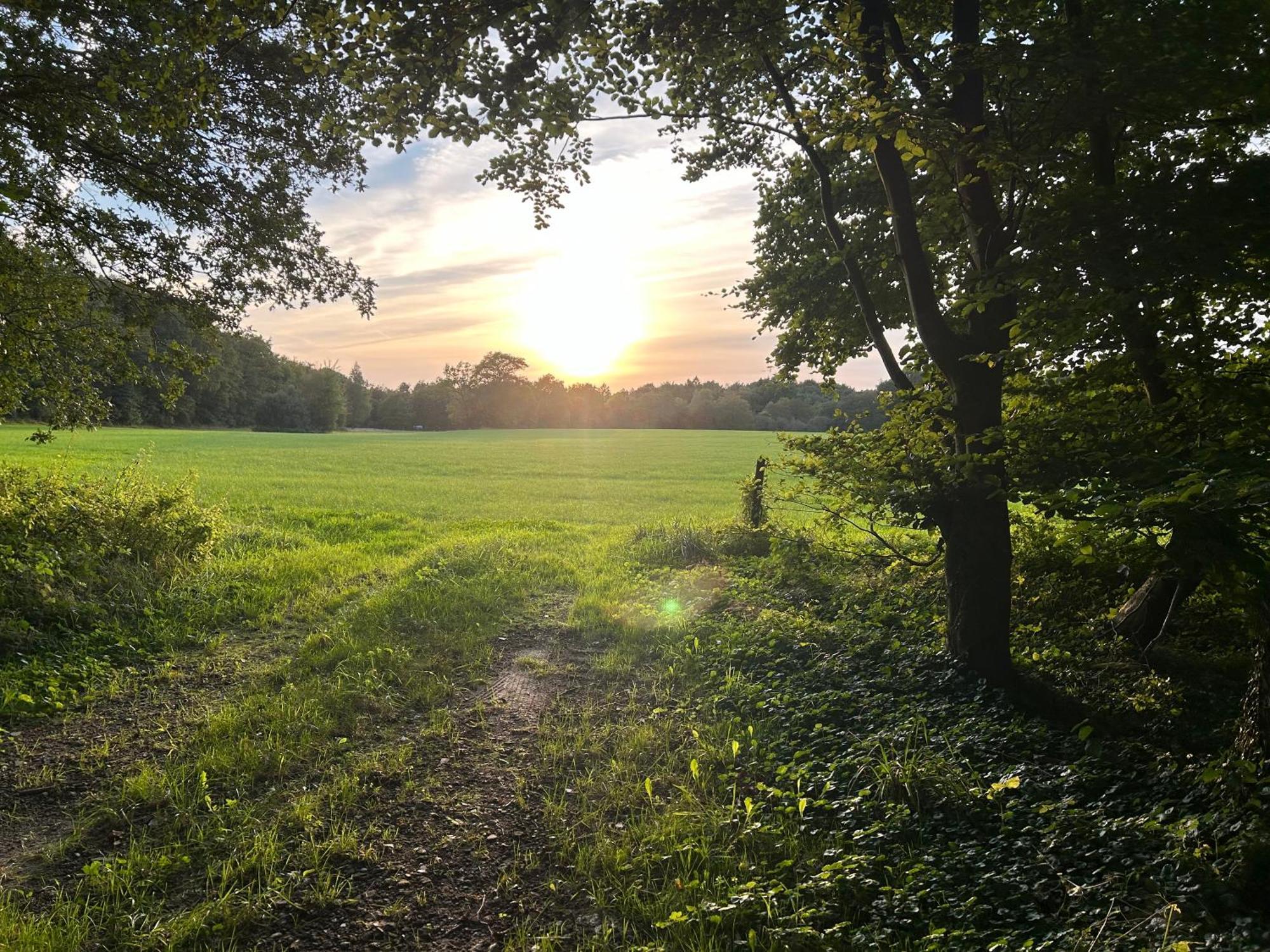 De Postelhoek B&B Oud-Ootmarsum Zewnętrze zdjęcie